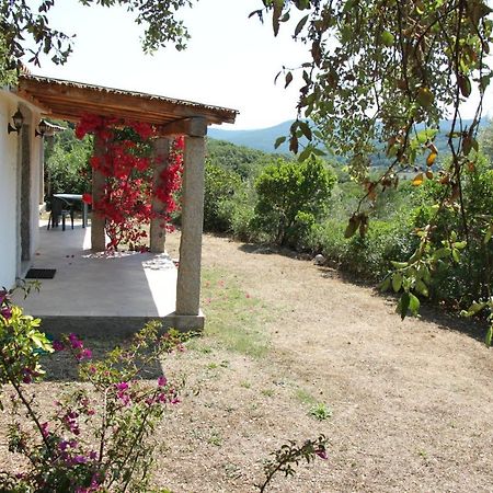 La Puntaccina Villa Aglientu Kültér fotó