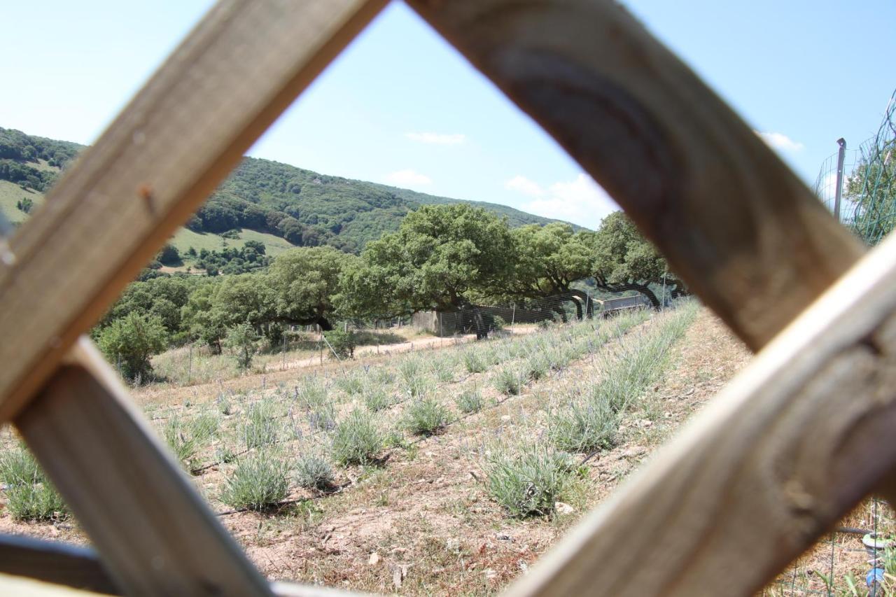 La Puntaccina Villa Aglientu Kültér fotó