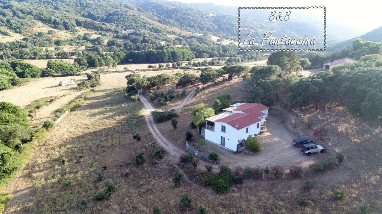 La Puntaccina Villa Aglientu Kültér fotó